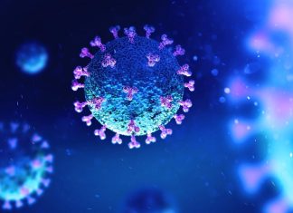 Multigranular and visualization approach precisely predicts SARS-CoV-2 outcomes