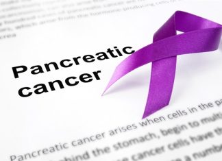 New treatment strategy makes pancreatic tumors sensitive to immunotherapy, mice study shows