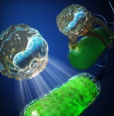 Novel Camouflaging System Improves Delivery of Therapeutic Bacteria in Mice