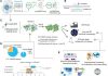 OpenCell Undertakes Subcellular Mapping of the Proteome