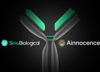 Sino Biological and Ainnocence Partner to Offer Next-Generation Antibody Development CRO Services