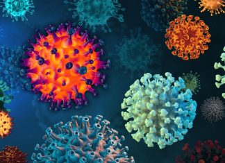 Study investigates whether coinfection with multiple SARS-CoV-2 variants exists in COVID-19 patients