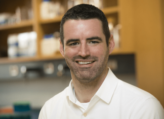 A key brain region for substance use disorders now has a searchable atlas of distinct cell populations