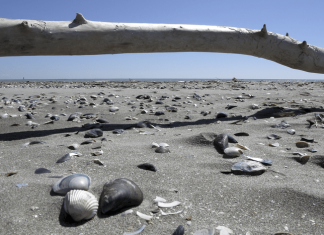 Adriatic ecosystems withstand major climate shifts but wither under human impact
