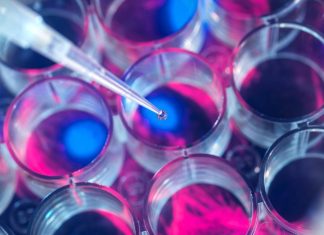 Biotechnology and biodiversity in Africa – ZAWYA