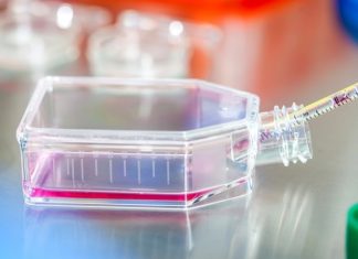Cell Guidance Systems and Manchester BIOGEL collaborate to launch PODS-PeptiGels for 3D cell culture