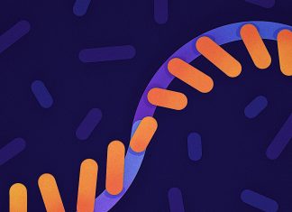Emerging biotechnology could lead to a new frontier in medical treatments – Yale Daily News