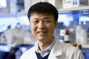 Immune Cell Discovery May Bridge the Gap for Immunotherapy Resistance