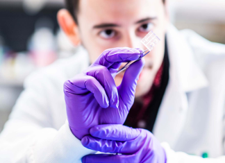 New miniature heart could help speed heart disease cures