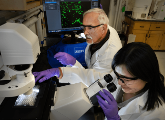 New model for antibacterial mechanism