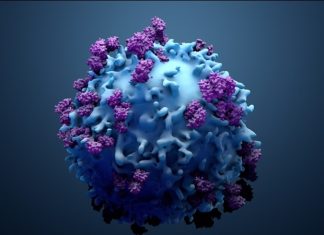 Researchers demonstrate the efficiency of T-cell immune response against the Omicron variant