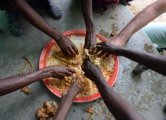 Study: How do we reach ‘food security? Biotechnology is key – Genetic Literacy Project