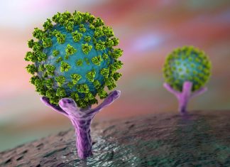 Study identifies a novel class of angiotensin receptor blockers that interfere with SARS-CoV-2 spike – ACE2 interaction