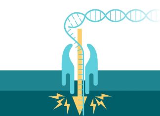 Study investigates rapid nanopore whole-genome sequencing approach for identifying genetic variants
