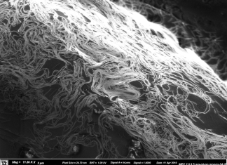Tangle no more, nanotubes