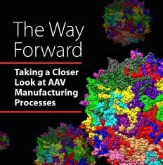 The Way Forward: Taking a Closer Look at AAV Manufacturing Processes