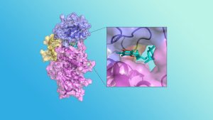 Vitamin E Can Enliven Dendritic Cells, Enhance Cancer Immunotherapy