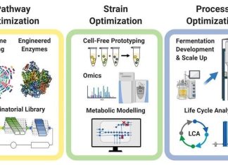Recycling greenhouse gases with biotechnology – Nanowerk