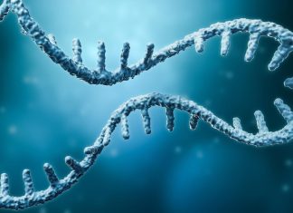 Review portrays clinical journey of messenger RNA vaccines and mRNA-based therapies