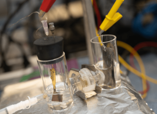 Rice process aims to strip ammonia from wastewater