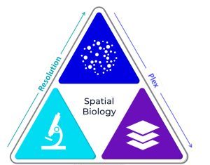 Setting a New Standard for Spatial Omics: An Integrated Multiomics Approach