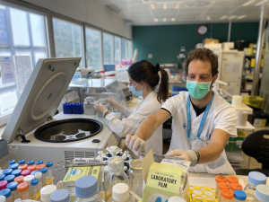 Common HIV Treatment Improves Cognition in Down Syndrome Mice