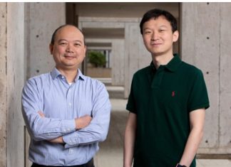 Hair Regeneration Requires Regulatory T Cells Signal Skin Stem Cells