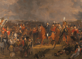 More digging needed to see whether bones of fallen Waterloo soldiers were sold as fertilizer, as few human remains have ever been found
