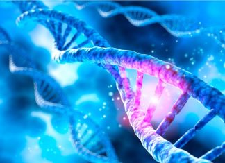 Researchers map cancer driver mutations across the human genome