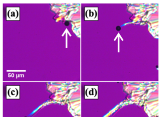Scientists unravel mysterious mechanism behind “whisker crystal” growth