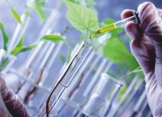 Agriculture Biotechnology Market Size and Business Forecasts 2022-2029|Syngenta AG,Monsanto Company,Certis USA LLC,KWS SAAT SE – This Is Ardee – This Is Ardee