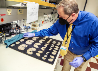 Cell by cell, scientists are building a high-resolution map of brain changes in Alzheimer’s disease