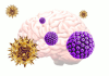 Common viruses may be triggering the onset of Alzheimer’s disease