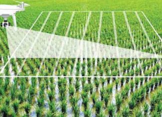 FG to strengthen farmers’ knowledge on modern biotechnology – Blueprint Newspapers Limited