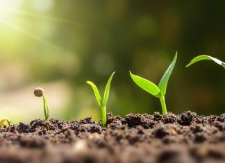 Get Ready For An Explosion Of Productivity In Biotechnology – Forbes