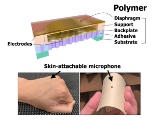 Hearing better with skin than ears