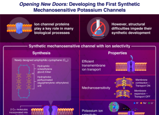 Opening new doors: First synthetic mechanosensitive potassium channel
