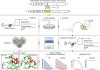 Paxlovid resistance associated with SARS-CoV-2 3CLpro mutations