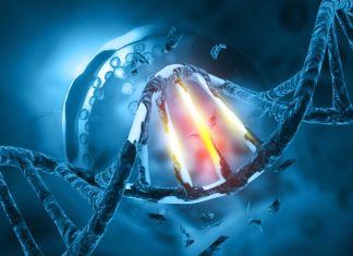 The known and proposed interactions of SARS-CoV and SARS-CoV-2 with DNA damage response pathways