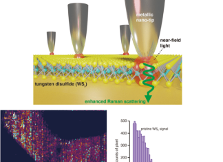 Towards stable, sustained Raman imaging of large samples at the nanoscale
