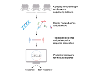 Whole-Exome Sequencing Predicts Response to Cancer Immunotherapy