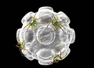 COVID-19 pandemic: An epidemiological update