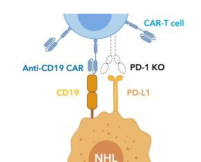 CRISPR Gene Editing Critical to Delivering Off-the-Shelf Cell Therapy