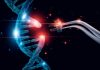 GenKOre develops hypercompact adenine base editors (ABEs)