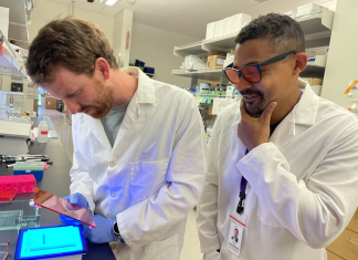 How ADAR1 mutation leads to self-destructive inflammation