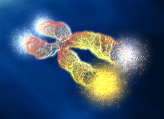 MAIA Biotechnology raises $10M from public offering – Labiotech.eu