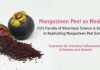 Mangosteen Peel as Medicine – CU’s Faculty of Veterinary Science is Successful in Replicating Mangosteen Peel Extract, Treatment for Intestinal Inflammation in Humans and Animals