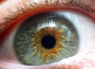New, non-invasive imaging method may help detect an early indicator of glaucoma
