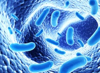 SARS-CoV-2 variants of concern emerging from chronic COVID infections, study shows