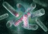 What is the prevalence of carbapenem-resistant Enterobacterales among individuals with and without health risk factors?
